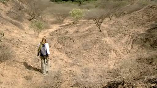 The Incredible Human Journey