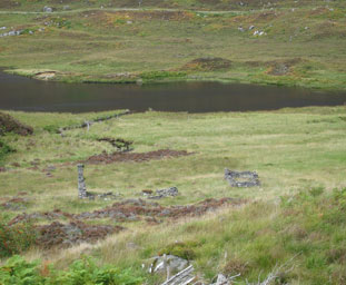 Croit ann an Liath-doire 