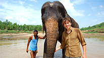 Simon encounters an Indian elephant in Satpura National Park
