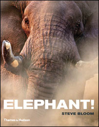 (c) Steve Bloom/stevebloom.com