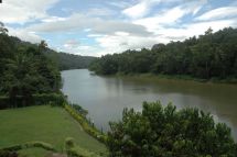 view from the poolside of the river Mahaweli Ganga