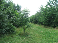 Manor Road Community School