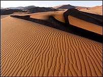 Namibian Desert