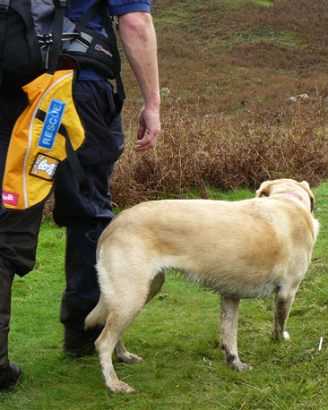 Neil Bolger and SARDA rescue dog Briar