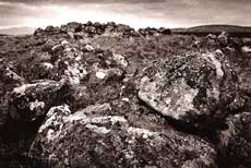 Ruins of the Rosal settlement