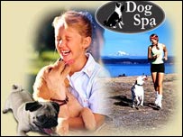 Logo Dog and Spa