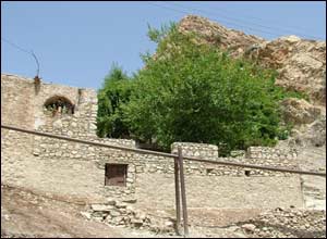 عکس از محمد رضا پاکباز