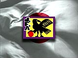 Japan football flag