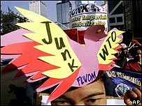 Manifestante anti-OMC