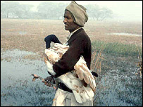 अली हुसैन