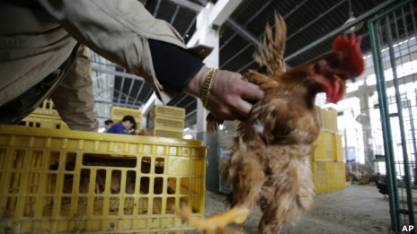 中国已经有四人死于H7N9禽流感病毒