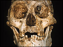 انڈونیشیا سے ملنے والی وہ کھوپڑی جوماہرین کے مطابق ہمیں انسانی بونوں کا پتا دیتی ہے