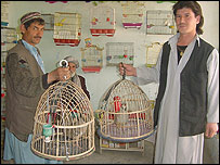 پرنده فروشی در مزارشريف