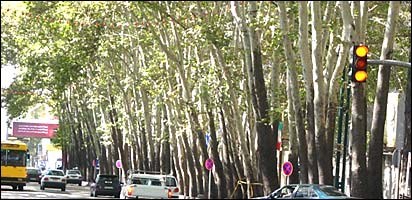 خيابان ولی عصر - تهران