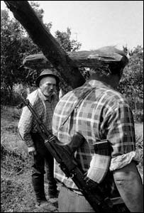 Război Transnistria