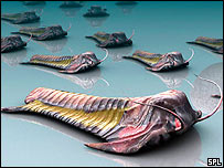 ترايلوبايتس