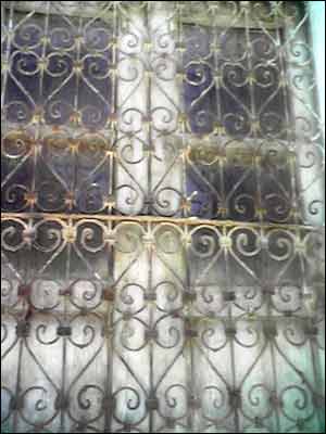 عکس از بهار