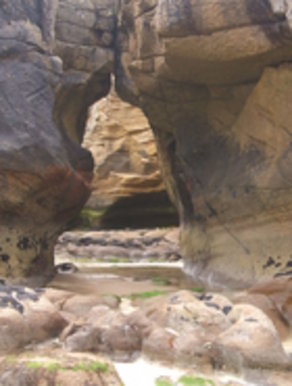 Arch at Clashach Cove