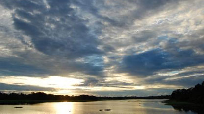 An Amazon river scene
