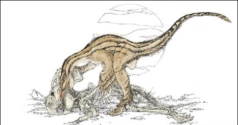 Velociraptor depicted scavenging the large horned herbivore Protoceratops (Image: Brett Booth)