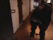 Reconstruction of shackling