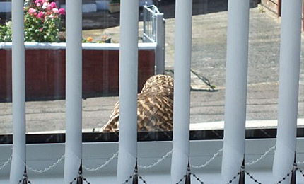 BBC Radio Foyle - Breathing Places Gallery