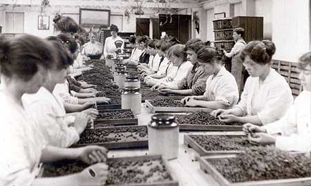 Rowntrees workers