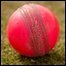 cricketball_pa_6666.JPG