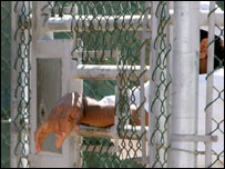 ग्वांतनामो बे