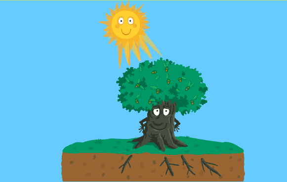 Sun shining on a tree