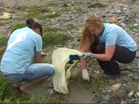 Beach clean up at Porthtowan beach