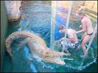 Crocosaurus Cove, Australia