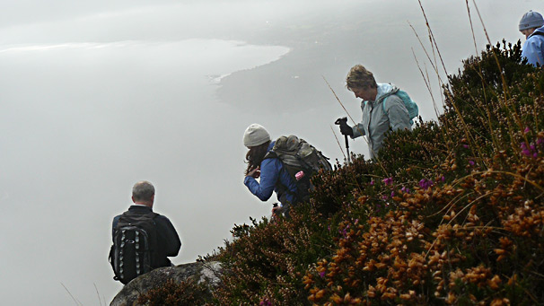 Walking group on the Holy Isle
