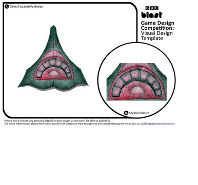 The Krulius' Spaceship