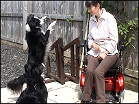 Binky and Zippy with Philippa 