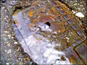 عکس از مسعود فتاحی