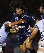 Seabass in action for Sale