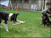 Foto de divulgação