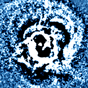 Photo Credit: Credit: NASA/CXC/IoA/A.Fabian et al