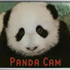 PandaCam