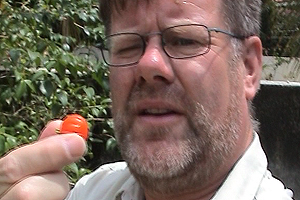 Steve's swapped his allotment in Lowestoft for a garden in Brazil.