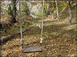 عکس از مريم آموزگار