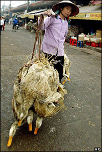 Một phụ nữ Việt Nam gánh vịt đi bán