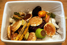 food waste