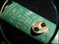 Türlerin Kökeni'nin ilk baskısı ve evrim teorisi anısına 2 sterlinlik madeni para