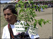Plantadora de coca no Peru