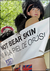 善待动物组织抗议使用熊皮帽