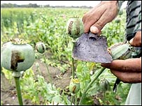 کارشناسان می گويند بيماری ايدز در مسيری که هروئين افغانستان از آن قاچاق می شود در حال شيوع است