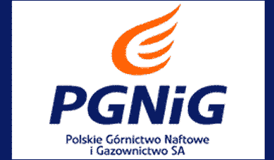 Польський нафтовидобувний і газовий концерн «PGNiG»