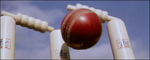 Cricket ball and stumps